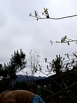 Snapshot of siusiu-00 chatting on 11.19.25 siusiu-00 online show from 11.19.25