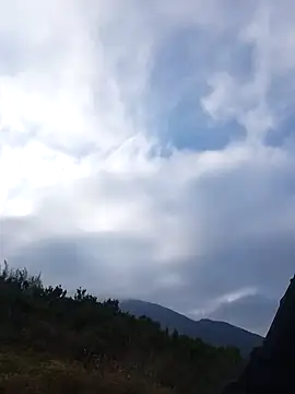 Snapshot of siusiu-00 chatting on 11.22.25 siusiu-00 online show from 11.22.25