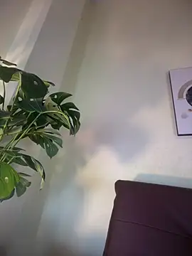 NovaFoxx online show from 02.15.26