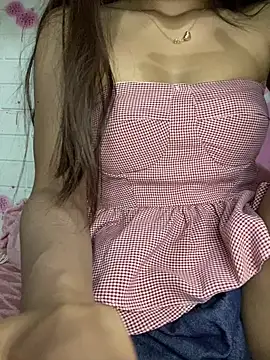 Su-115 online show from 11.11.25