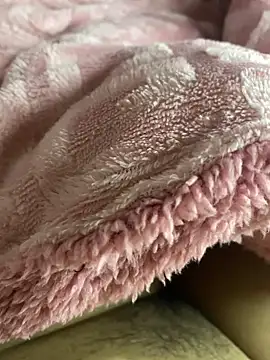 Su-115 online show from 11.14.25