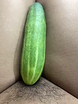 Su-115 online show from 11.15.25