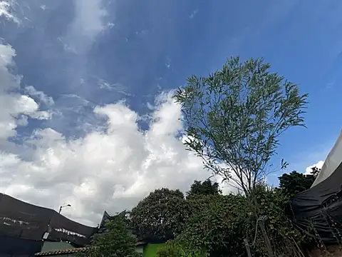 moon2 1  online show from 12.04.25