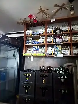 catalella16 online show from 01.11.26