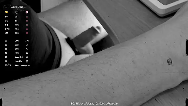 Mister Majestic online show from 12.02.25