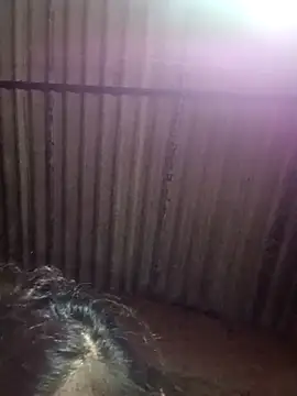 M-MAYA online show from 12.02.25