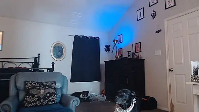 Snapshot of ImKatMeow chatting on 02.09.26 ImKatMeow online show from 02.09.26