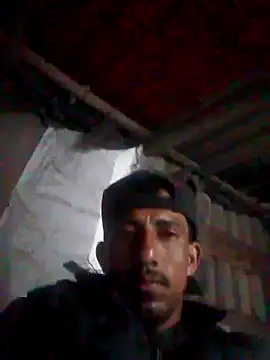 Orlao25cm online show from 10.18.25