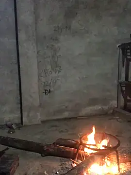 Kylie beem online show from 11.14.25