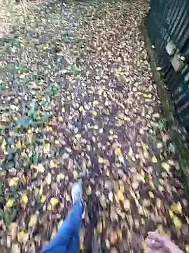 bbyxklaus online show from 11.04.25