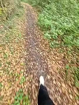 bbyxklaus online show from 11.06.25