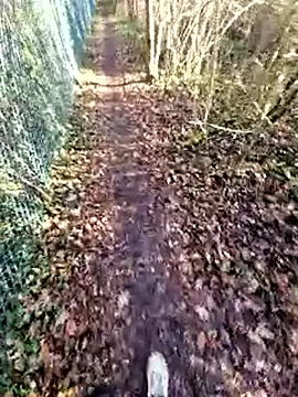 bbyxklaus online show from 12.19.25