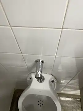 Snapshot of novinhosglbi chatting on 11.04.25 novinhosglbi online show from 11.04.25