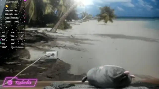 Snapshot of kimberd33 chatting on 02.26.26 kimberd33 online show from 02.26.26