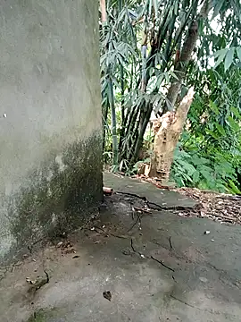 Snapshot of Bear_bear0 chatting on 11.08.25 Bear bear0 online show from 11.08.25