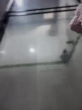 Violeet-Smith online show from 03.27.26