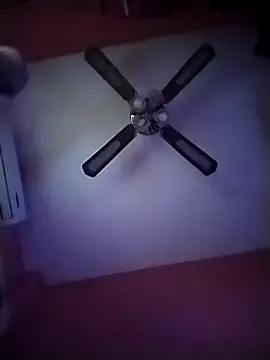 Danii2005 online show from 11.12.25