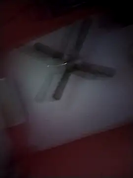 Danii2005 online show from 11.25.25