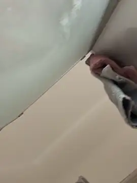 gatitalocahot online show from 12.17.25