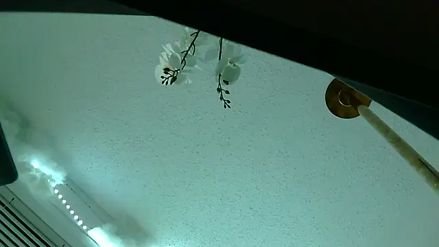 playxrated online show from 04.10.26