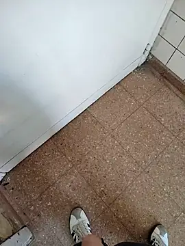 rosmeripelaes online show from 12.01.25