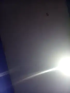 HSexy Men00 online show from 11.26.25