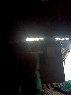 QRANSEXI online show from 11.26.25