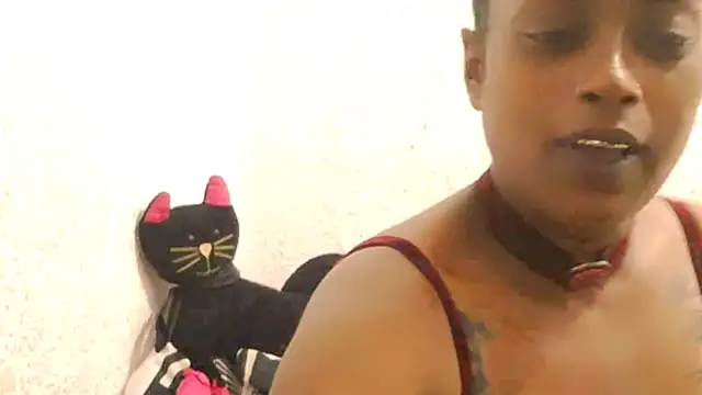 Snapshot of DOVE85 chatting on 12.15.25 DOVE85 online show from 12.15.25