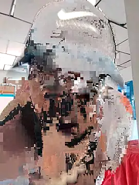 LAPOTRA 04 online show from 04.01.26