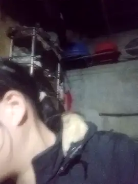 Noelle-e online show from 02.03.26