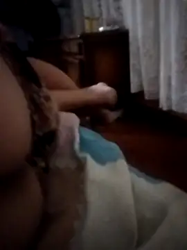 Snapshot of pampa4456 chatting on 12.16.25 pampa4456 online show from 12.16.25