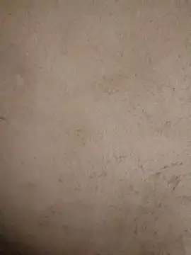 doggy-00 online show from 05.10.26