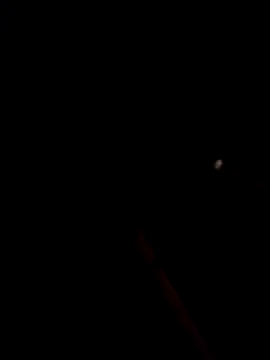 bella-la online show from 01.15.26