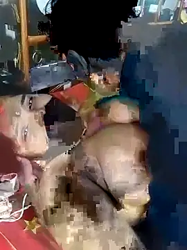 hot couple 000 online show from 01.16.26