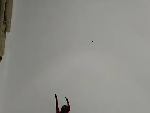 EmmilyConnor online show from 02.25.26