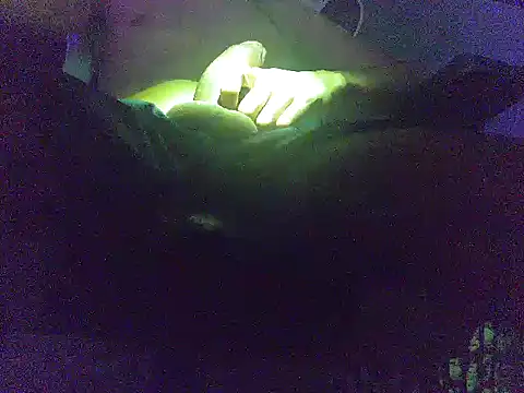 analice32456 online show from 03.03.26