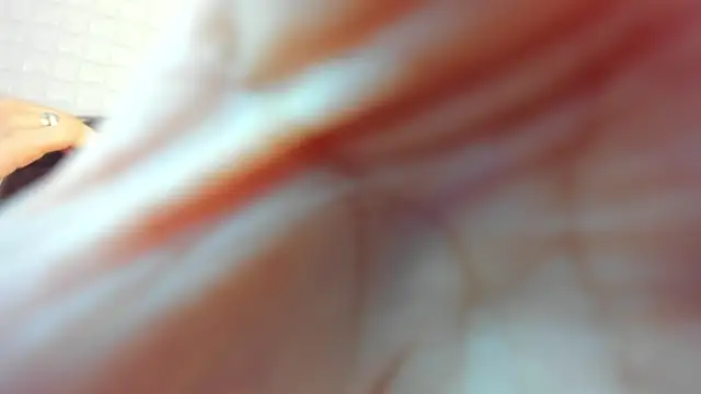 victoria 243 online show from 02.23.26