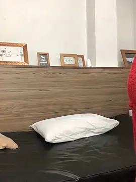 Snapshot of Veka_Litox chatting on 11.01.25 Veka Litox online show from 11.01.25