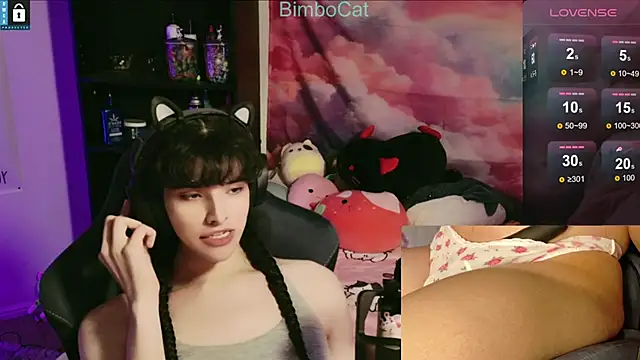 BimboCat online show from 11.15.25