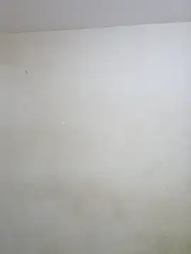 negramenta online show from 01.15.26