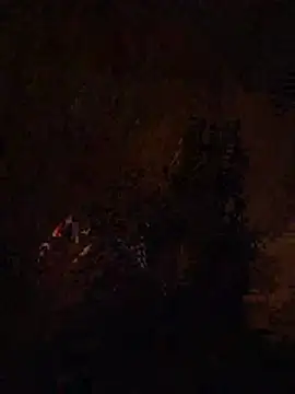 Tarsexxx online show from 06.23.26