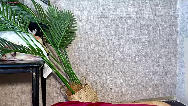 Snapshot of 0xiaosu0 chatting on 12.20.25 0xiaosu0 online show from 12.20.25