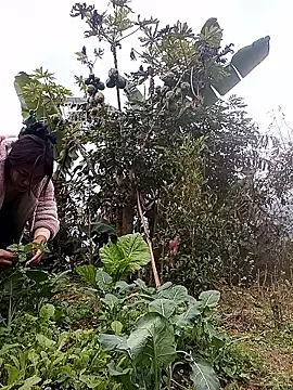 Alice-567 online show from 01.11.26