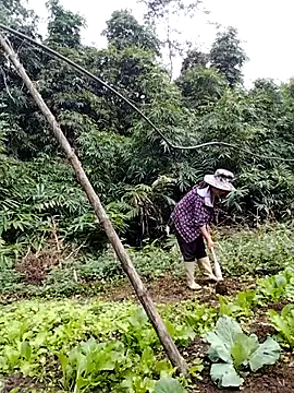 be-yeu online show from 11.05.25