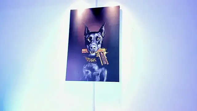 stiven 24cm online show from 11.15.25