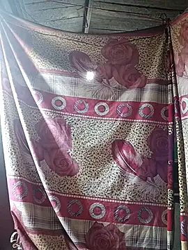 Bee-bgolden online show from 01.11.26