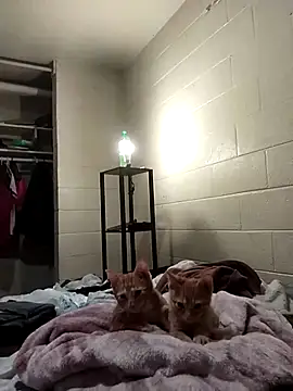 SITHANDRAH online show from 12.02.25