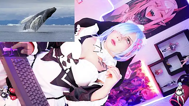 Noha-- online show from 11.17.25