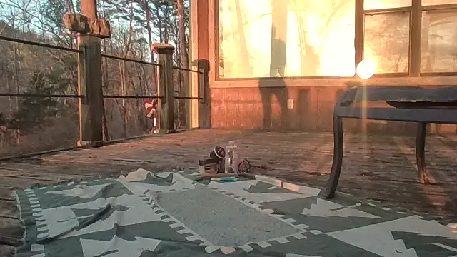 2099RivenXXX online show from 02.28.26