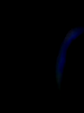 Snapshot of Lirio1991 chatting on 11.19.25 Lirio1991 online show from 11.19.25